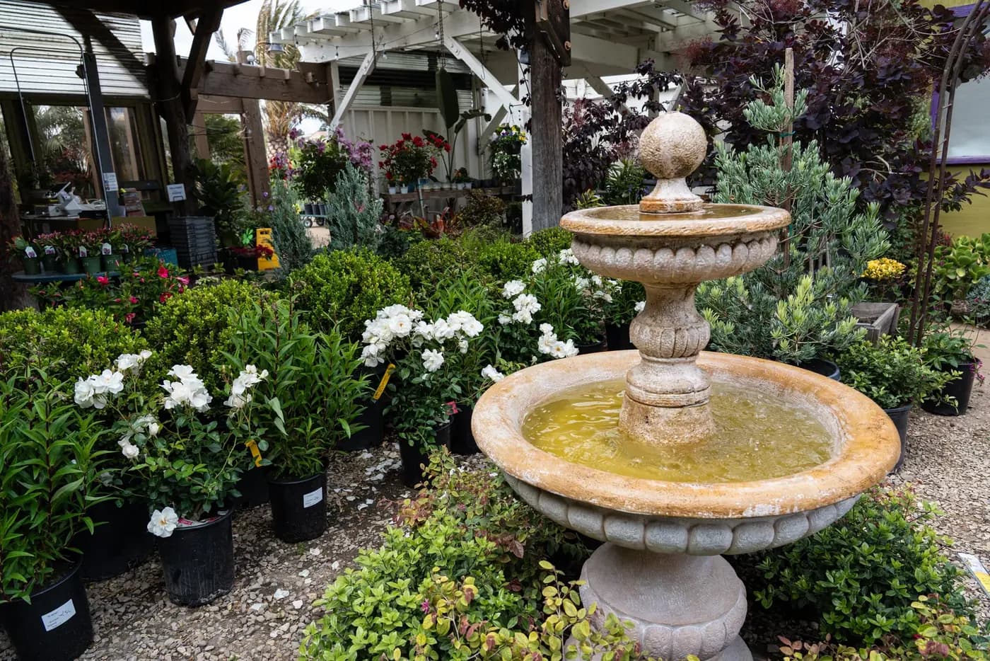 A tiered stone fountain with white flowering plants around its base