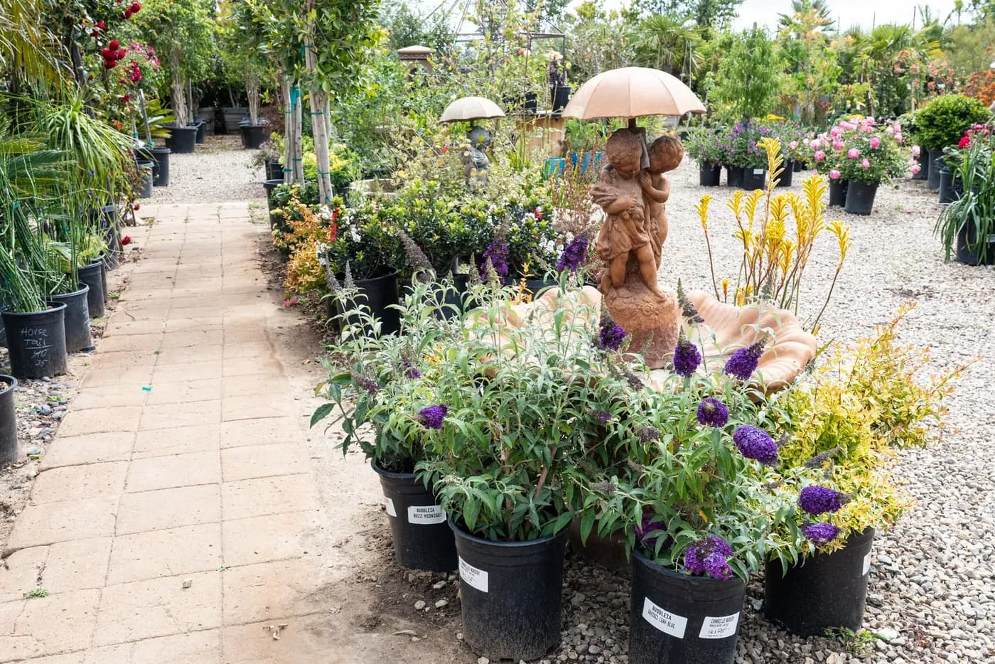 A gravel path at Camarillo Nursery lined with potted shrubs, perennials and garden statuary