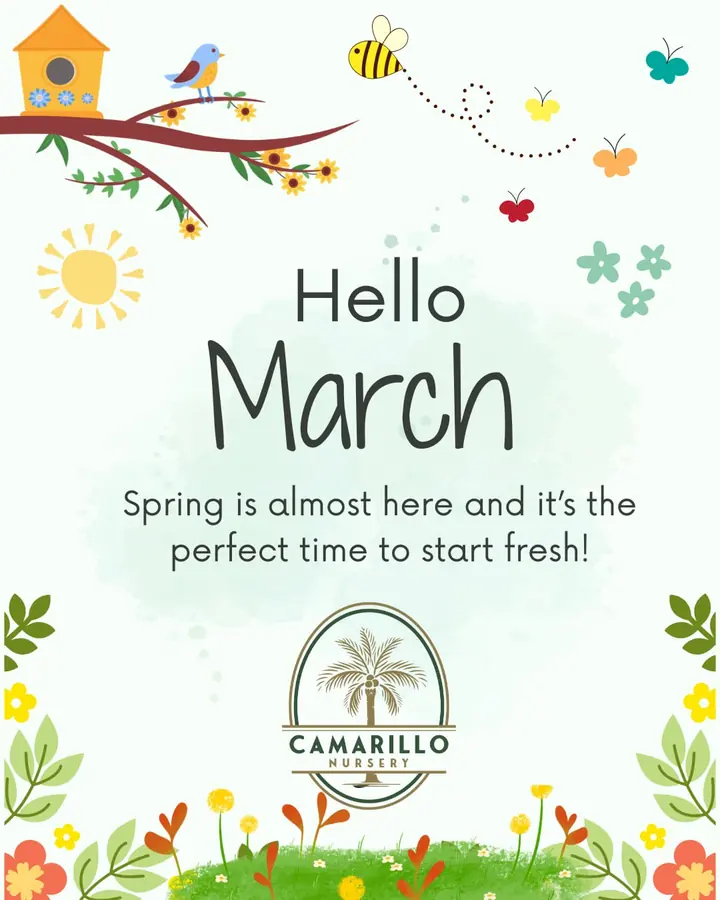 Spring is almost here 🌸🌿 and it’s the perfect time to start fresh! Come by Camarillo Nursery to get everything you need to kick off your spring…