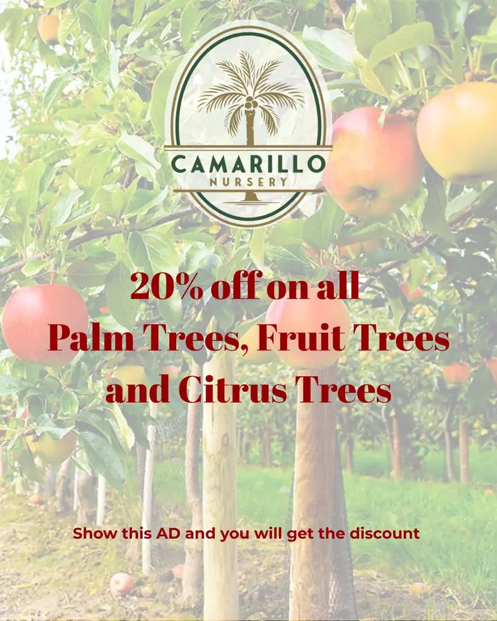 Our weekend special is here and your garden is going to love it. Enjoy 20% off all palm trees, citrus trees, and fruit trees when you show this ad…