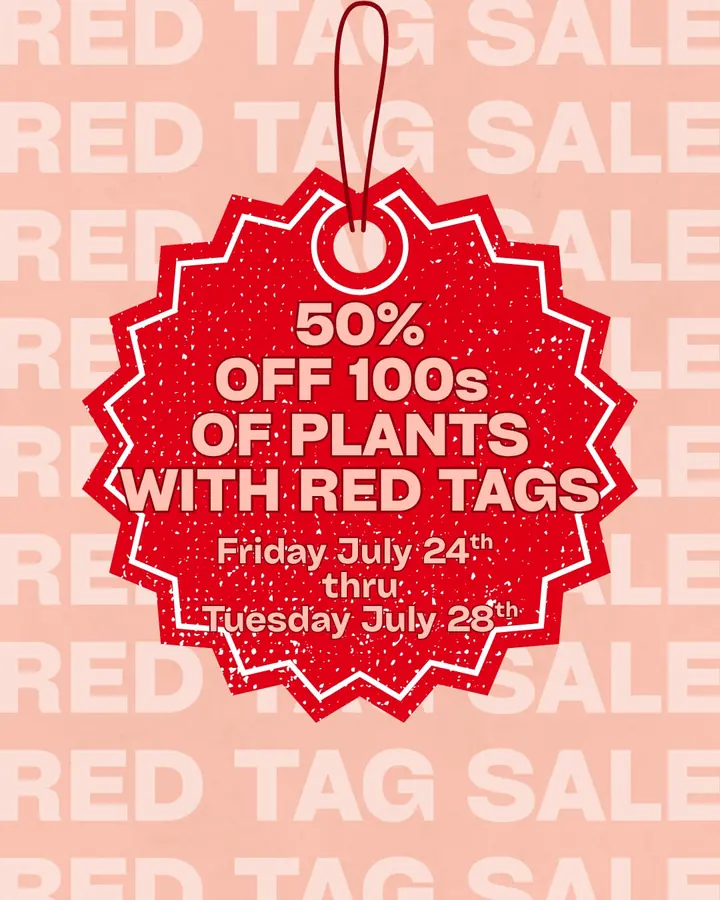 Red Tag Sale to enjoy 50 percent off hundreds of selected plants. Just look for the red tags throughout the shop to find your half price…