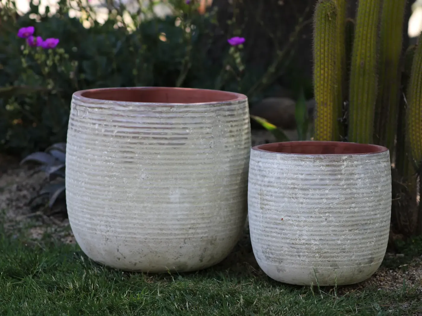 Two large ribbed white pots with terracotta rims on a lawn