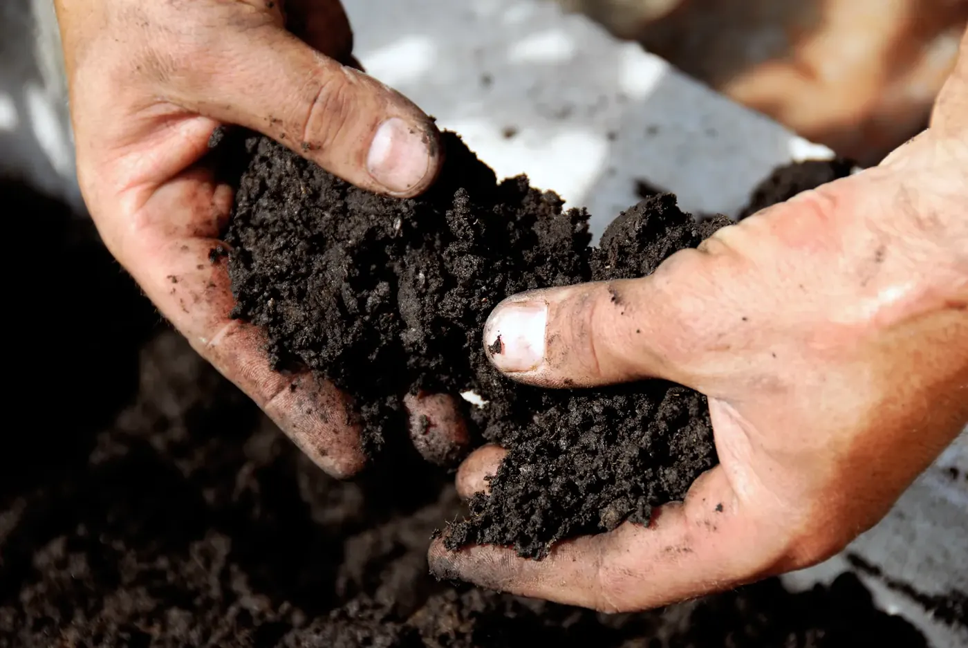 A pair of hands holding dark, crumbly potting soil above a trowel