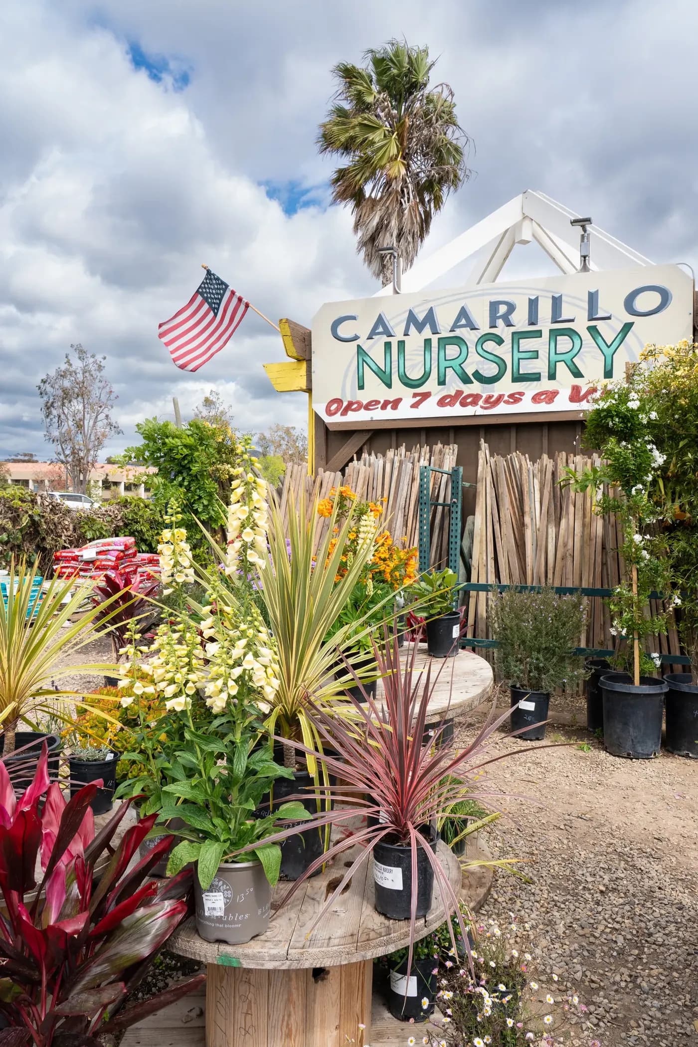 The Camarillo Nursery road sign reading "open 7 days a week" above a display of potted plants